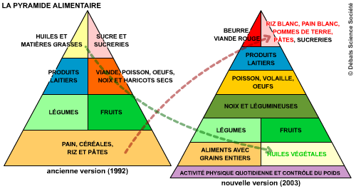 Pyramide alimentaire